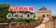免费的操B网站中国北京-八达岭长城旅游风景区